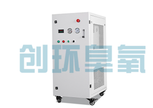 六安石斑鱼养殖水质调控完整指南：臭氧发生器配置与操作步骤