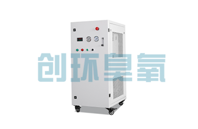 六安比传统换水更高效？臭氧发生器在石斑鱼养殖中的水质净化原理解析