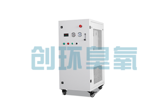 六安比传统换水更高效?臭氧发生器在石斑鱼养殖中的水质净化原理解析
